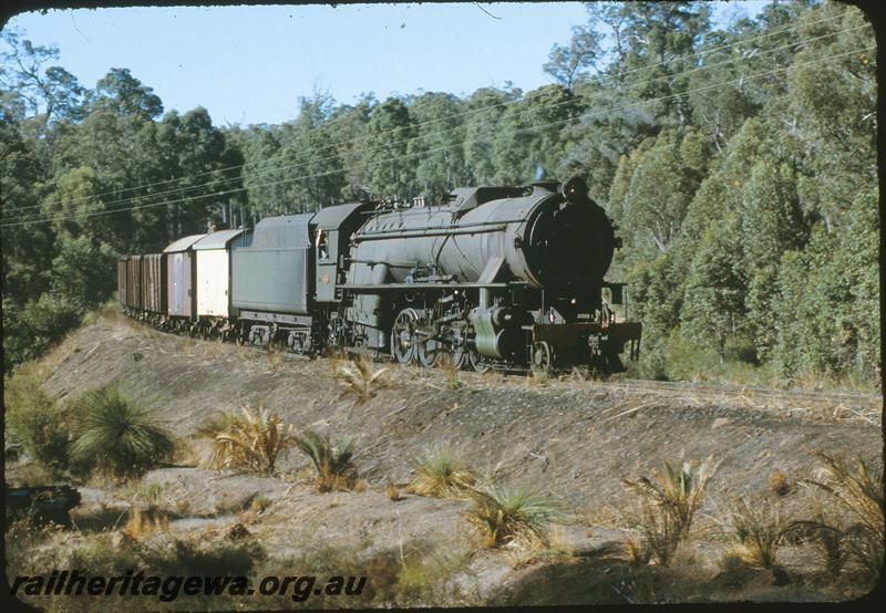 P09595
V class 1221 at 115 mp, Collie line. BN line.
