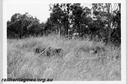 Filename=P09427.jpg
Filesize=147KiB
Dimensions=800x526
Date added=Sep 03, 2014 P09427.jpg