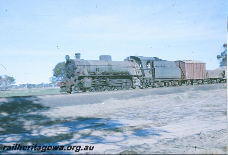 P09691
W class on goods train.
