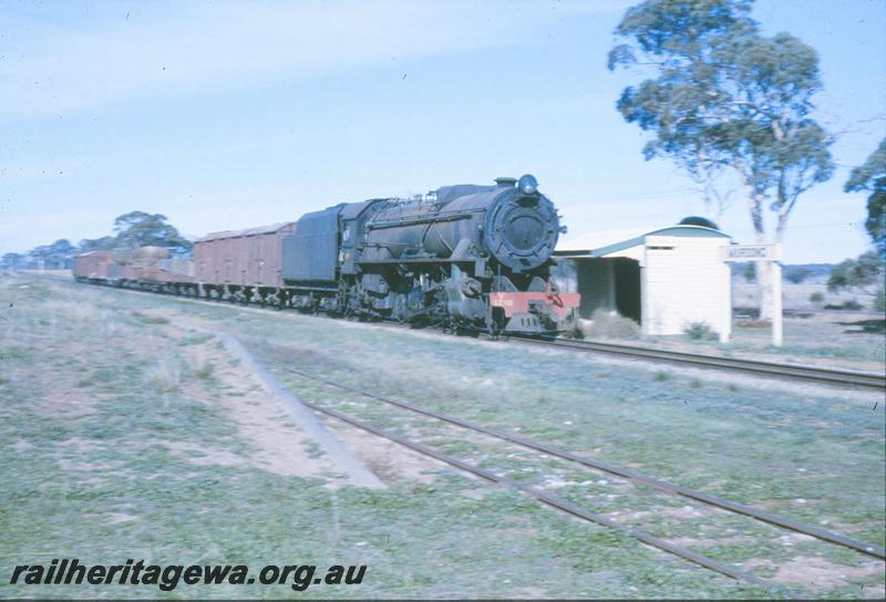 P09694
V class 1218 on up goods, shelter shed, siding, loading bank, nameboard, Murdong. GSR line.
