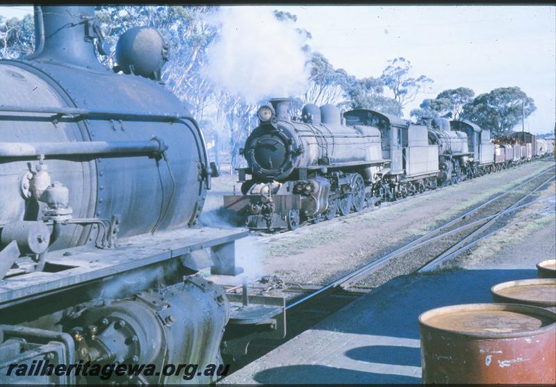 P09700
PR class 529 'Gascoyne' on No 35, crossing P class 508, P class 503 on up goods, Cranbrook. GSR line.
