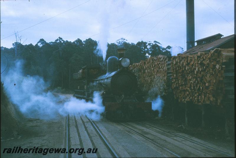 P09714
SSM 2, wood stacks, Deanmill.
