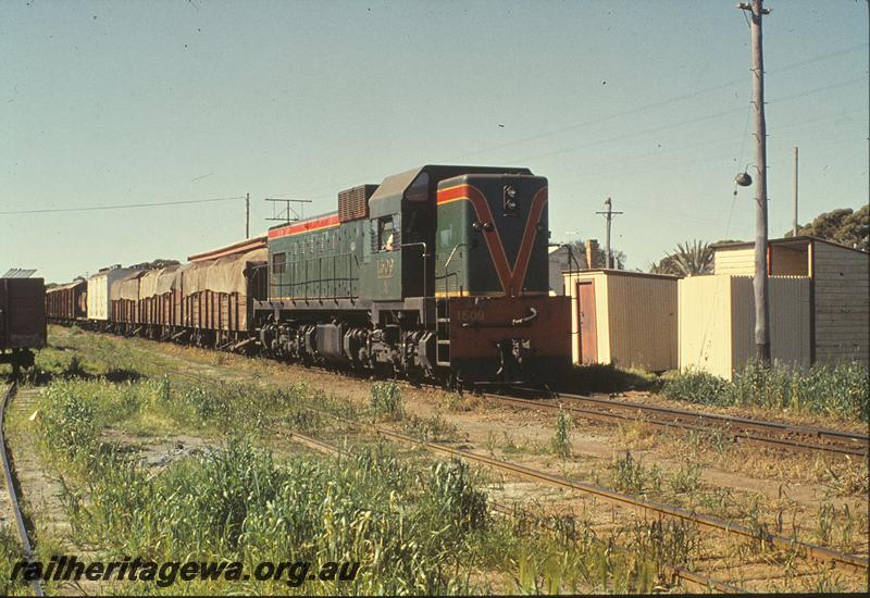 P09765
A class 1509 on up goods in platform, toilet and sheds at end of platform. EGR line.
