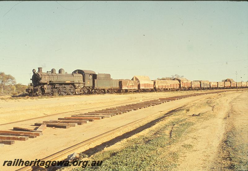 P09773
PR class 522 'Avon', goods train, new alignment for Bruce Rock line to enter West Merredin yard in foreground, train on old alignment to Merredin station. NWM line.
