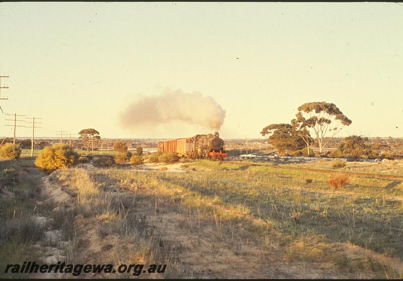 P09777
PM class 705, up goods, west of Merredin. EGR line.
