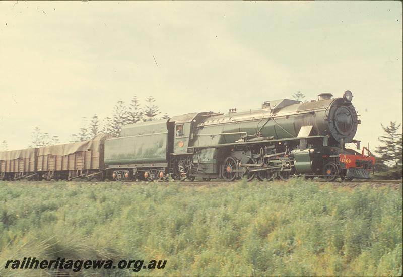 P09801
V class 1209, goods train, Grant St. ER line.
