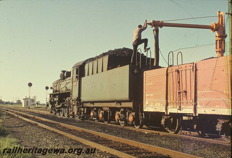 P09821
PMR class 733,GE class 4636 behind the loco, on Up goods, water column, signals, Pinjarra. SWR line.
