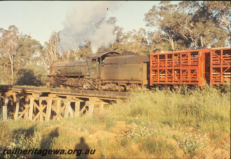 P09894
W class, up goods, CXA class sheep wagons behind the loco, trestle bridge, Boyanup. PP line.
