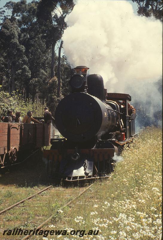 P09919
YX 176, WAGR bogie wagons for tour, Donnelly River Mill.
