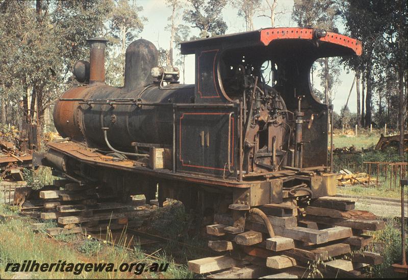 P09923
Bunnings 11, boiler and frame, derelict at Manjimup.
