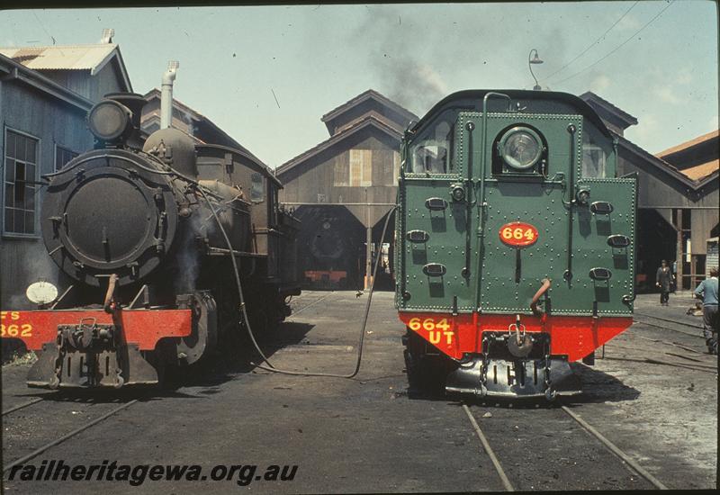 P09937
FS class 362, UT class 664, east faade of loco shed, steam hose from FS to UT, East Perth loco shed. ER line.
