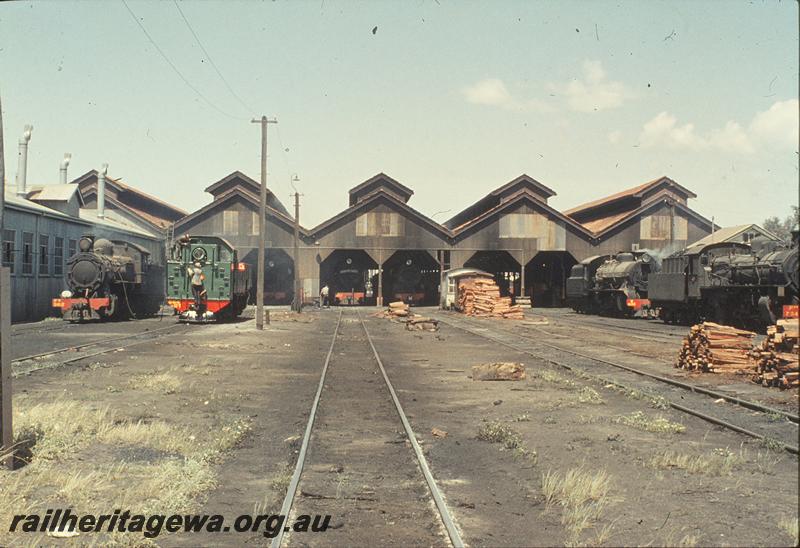 P09940
Overall view, east end of loco shed, FS class 362, UT class 664, W class 936, PMR class 734, also V class inside shed, one carrying headboard. East Perth loco shed, ER line.
