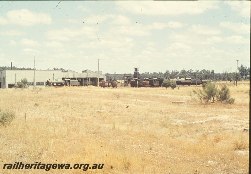 P09955
Overall view, roundhouse, preparation shed, coaling tower, water tower in background, some locos with travelling tanks attached. Collie loco shed. BN line.
