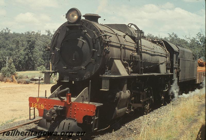 P09956
V class 1215, in loop, crossing coach attached tour train, Moorhead. BN line.
