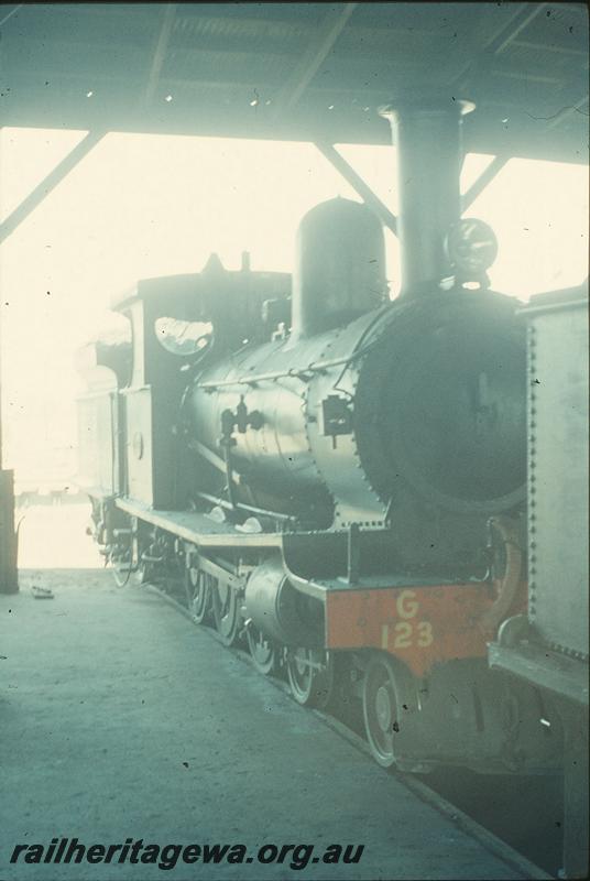 P09964
G class 123, inside roundhouse, Bunbury loco shed. SWR line.
