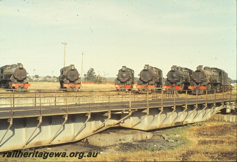 P09970
W class 919, W class 935, W class 920, W class 926, W class 901, W class 938, turntable, Collie loco shed. BN line.
