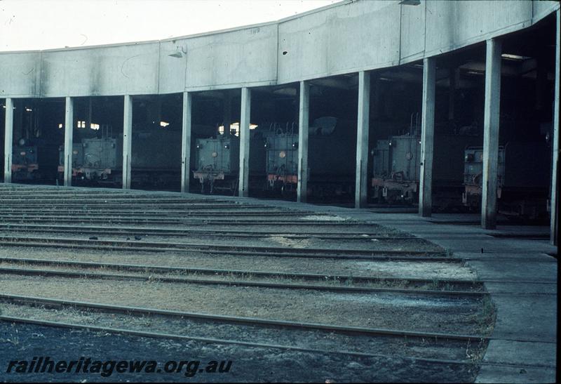 P09971
Collie loco shed, S class, V class, W class, FS class tenders visible. BN line.
