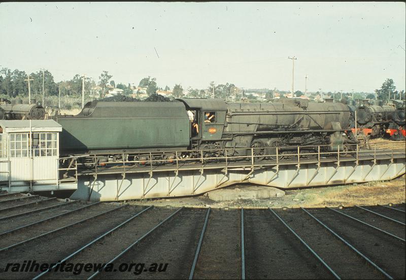 P09974
V class 1214, turntable, W class in background, Collie loco shed. BN line.
