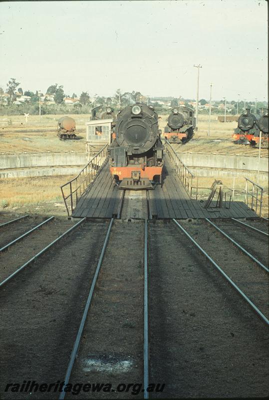 P09976
V class 1214, turntable, W class in background, Collie loco shed. BN line.
