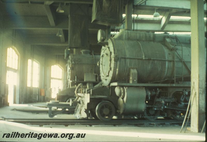 P09978
S class, V class front ends inside roundhouse, Collie loco shed. BN line.
