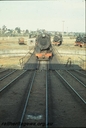P09976.jpg