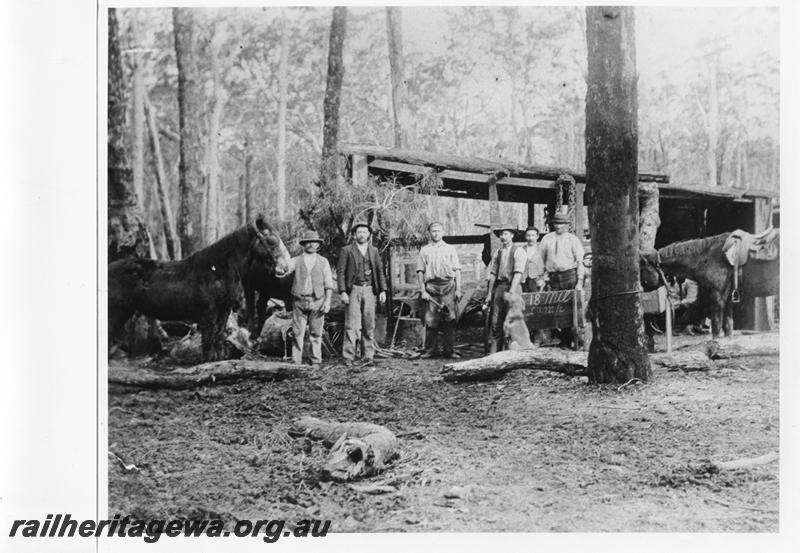 P10182
Bush sawmill camp 