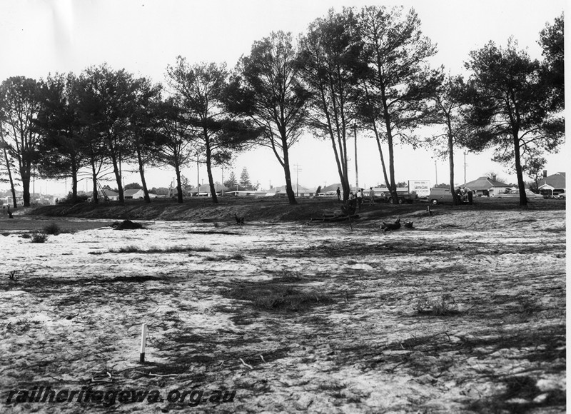 P10212
Rail Transport Museum site, work party of members pruning the pine trees, view overlooking the cleared site.
