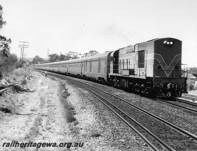 P10300
K class 210 in Westrail orange livery hauling the 