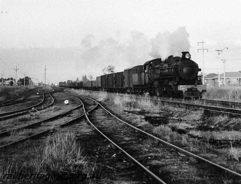 P10313
PMR class 731, goods train, cheese knob, yard, location Unknown, view along the train.
