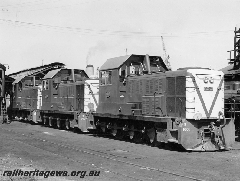 P10324
B class 1601, B class 1604 and another B class all in green livery, parked together at Fremantle loco depot, side and front view
