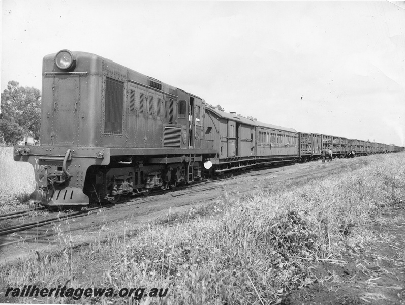P10403
Unidentified Y class diesel electric locomotive assisting an unidentified steam locomotive with rake of livestock wagons. Z class brakevan and AP class coach included in consist.
