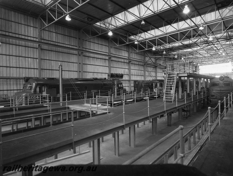 P10405
X class1014 and an unidentified A class at left and X class1030 on right in Forrestfield Locomotive servicing shed. Mid and high level servicing platforms noted with safety chains in place.
