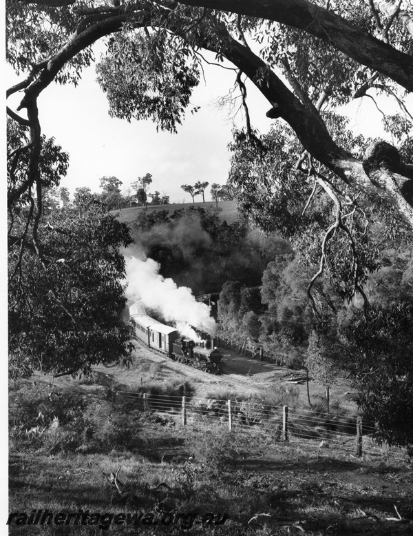 P10459
G class 233 steam locomotive hauling the Vintage Train between Beela and Brunswick Junction. BN line.
