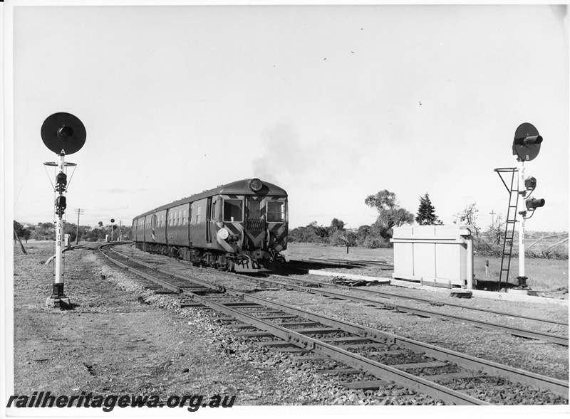 P10598
ADG class railcar coupled to a sibling unit passing 3 aspect colour signals, working a Royal Show special.
