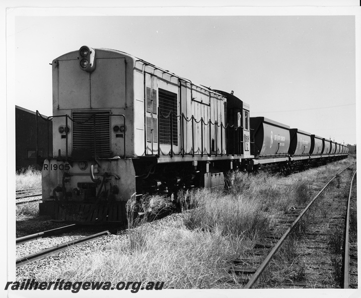 P10752
R class 1905 narrow gauge diesel locomotive at the head of a rake XG class coal hoppers owned by the former State Electricity Commission. The locomotive is painted in a primer pink livery.
