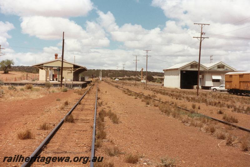 P11051
Station building, goods shed, yard, Mullewa, NR line, view along track, taken on visit to remove the signals
