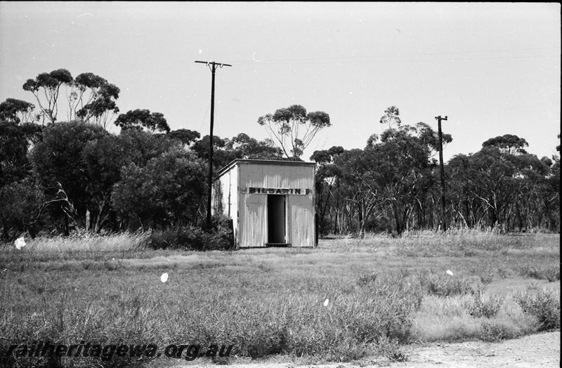 P11080
Out of shed, telegraph pole, Bilbarin, NWM line, view across overgrown yard.
