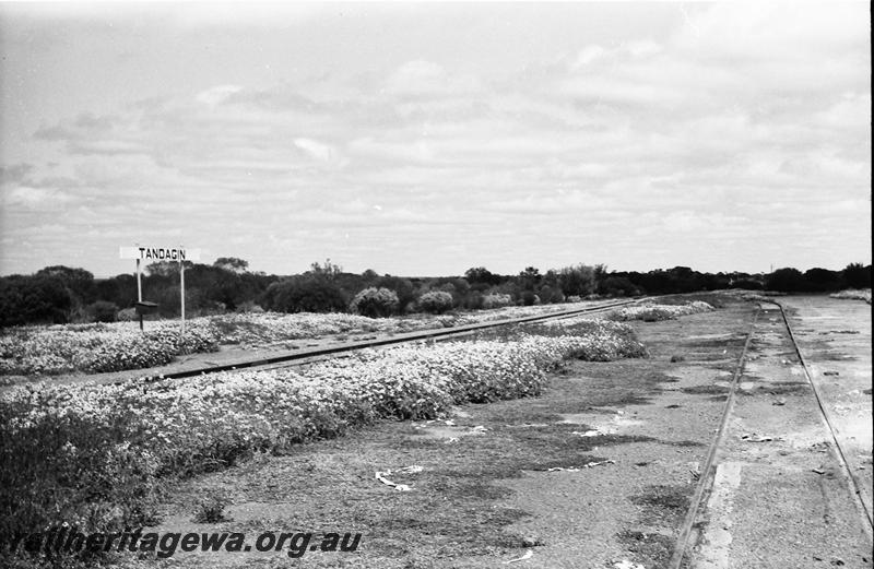 P11103
Station nameboard, siding, Tandagin, NKM line, siding overgrown with weeds,
