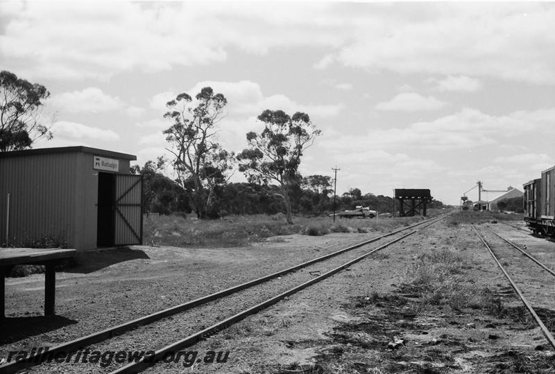 P11104
Station shed, water tower, wheat silo, Muntadgin, NKM line, view along the track.
