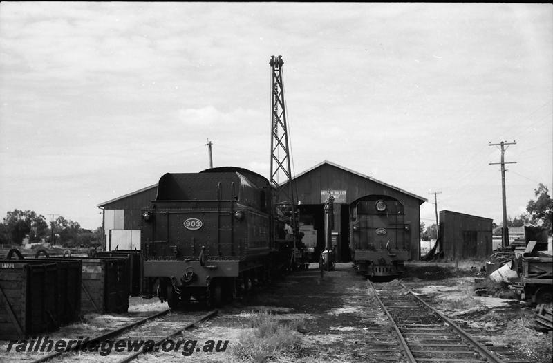 P11136
W class 903, W class 945, at HVR's Pinjarra loco depot, rear view of tenders.
