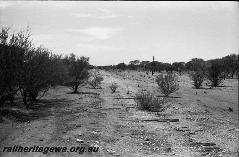 P11149
Abandoned formation of the Big Bell branch, NR line, view looking along the formation.
