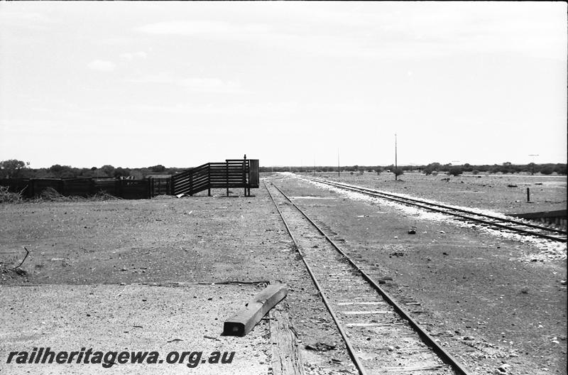 P11153
Yard, Tuckanarra, NR line, view looking south
