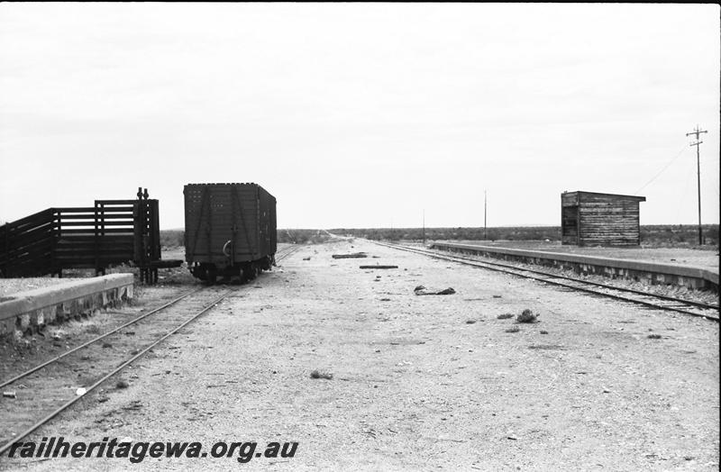 P11156
TA class bogie cattle wagon, stock race, stone (masonry) faced platforms, Naninne, NR line, view looking south.
