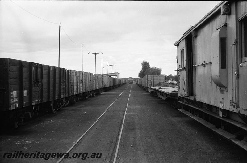 P11158
Lines of wagons, Meekatharra yard, NR line, view looking down the tracks
