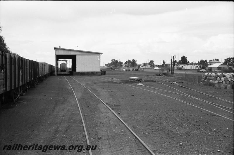 P11159
Goods shed, yard, Meekatharra, NR line, view looking down the yard
