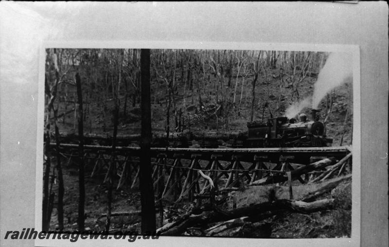 P11173
Kauri Timber Co. locomotive 