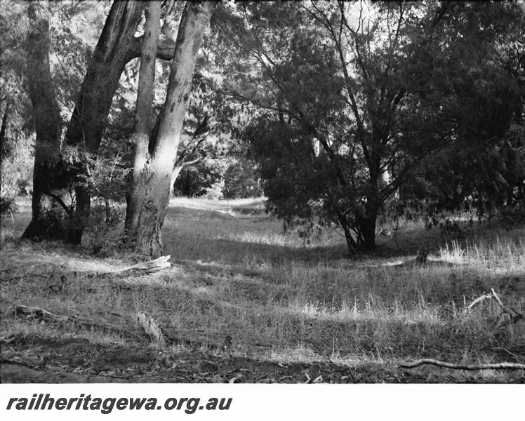 P11177
W.A. Timber Co. abandoned formation, Lockville to Yokonup at Wonnerup, view along the formation.
