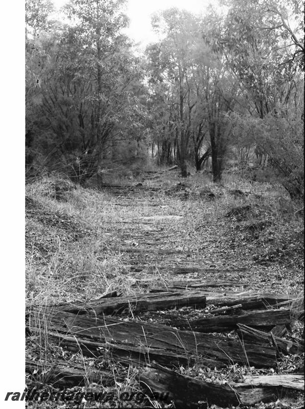 P11182
Abandoned formation of Millars Mill, Yarloop view along the formation..
