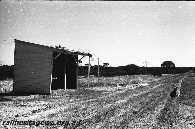 P11197
Passenger shelter shed, Buniche, WLG line, view along the track
