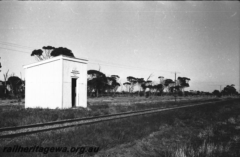 P11209
Out of shed, Gundaring, WLG line, side and trackside view.
